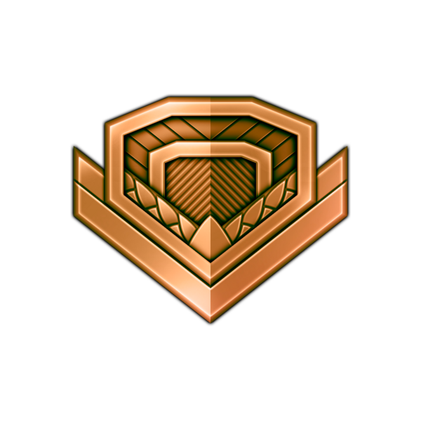 5. Bronze.png