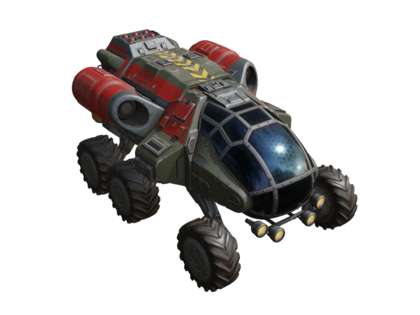 salamandra_06.png