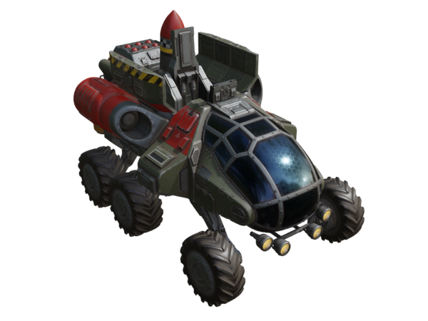 salamandra_10.png