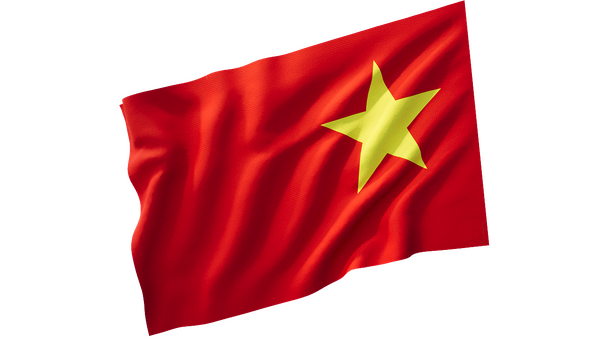 vn.png